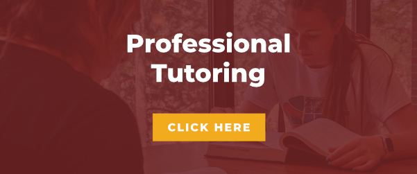 Professional Tutoring